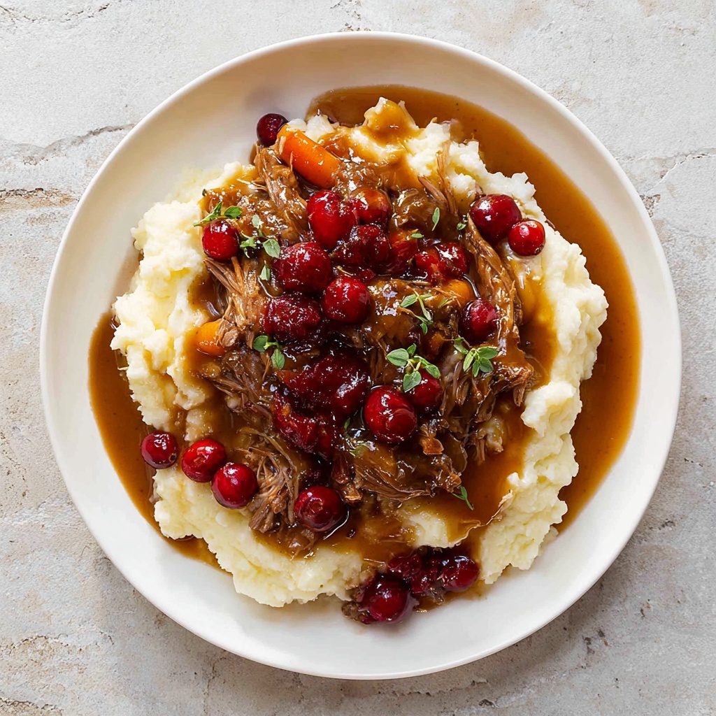 Cranberry Balsamic Roast Beef Recipe - Recipe Image