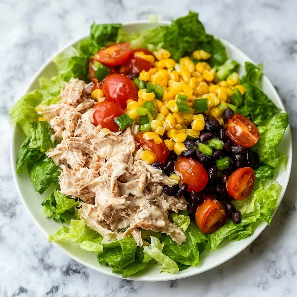 Quick Southwest Chicken Salad Recipe - Recipe Image