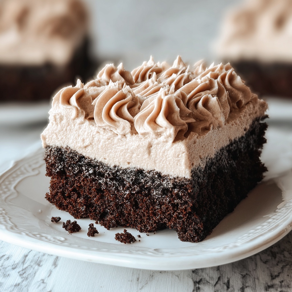 Skinny Chocolate Cake Recipe - Recipe Image