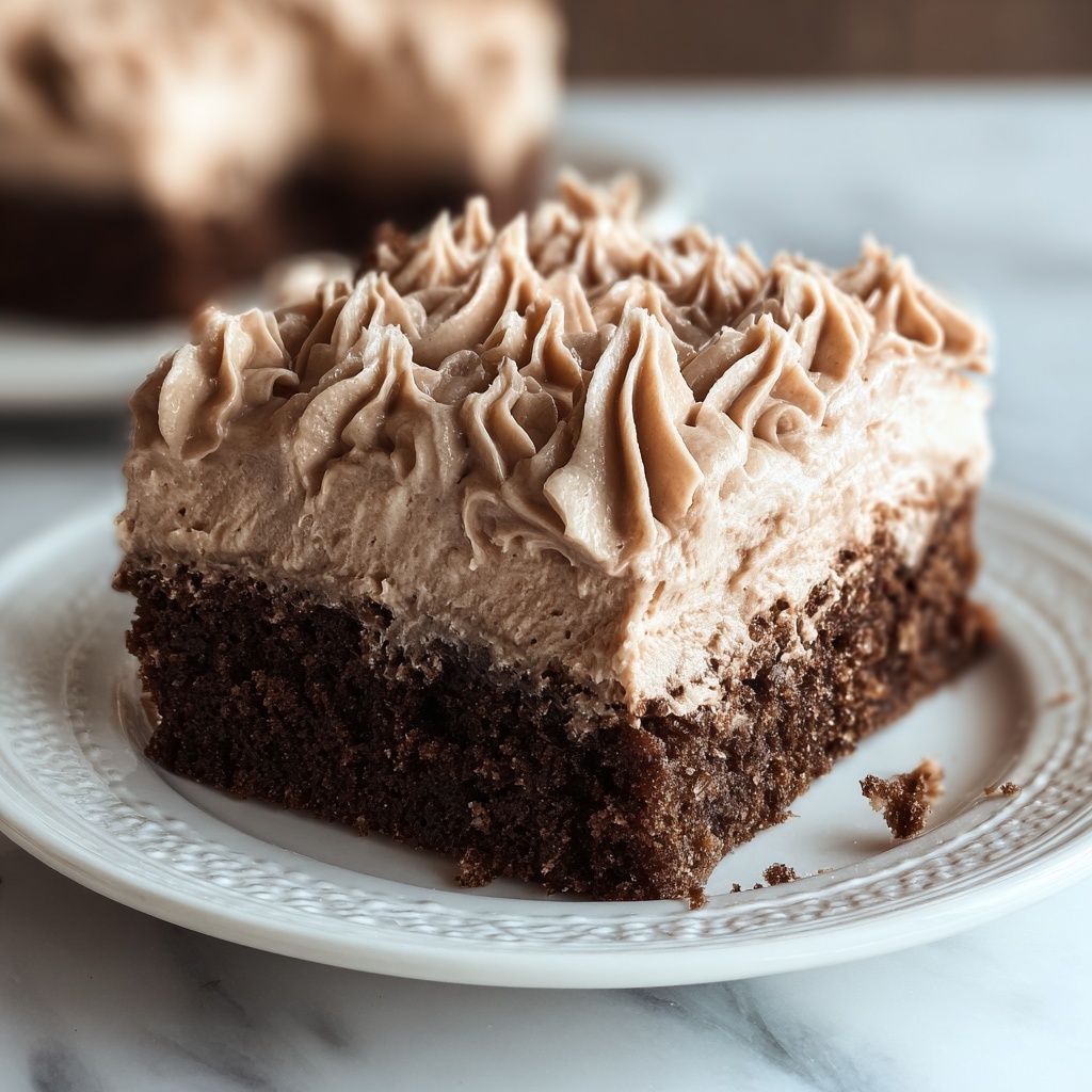 Skinny Chocolate Cake Recipe - Recipe Image